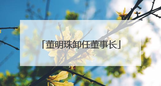 董明珠卸任董事长