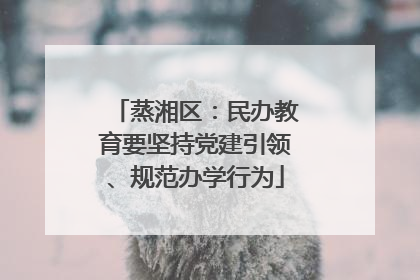 蒸湘区：民办教育要坚持党建引领、规范办学行为