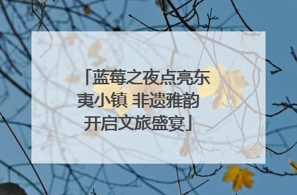 蓝莓之夜点亮东夷小镇 非遗雅韵开启文旅盛宴