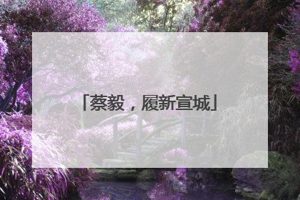 蔡毅，履新宣城