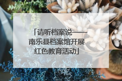 请听档案说——南乐县档案馆开展红色教育活动