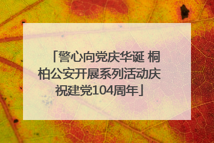警心向党庆华诞 桐柏公安开展系列活动庆祝建党104周年