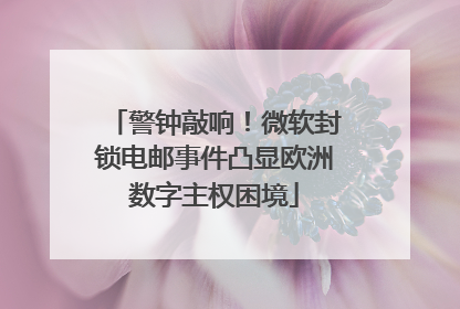 警钟敲响！微软封锁电邮事件凸显欧洲数字主权困境