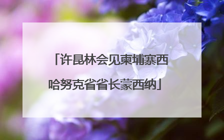 许昆林会见柬埔寨西哈努克省省长蒙西纳