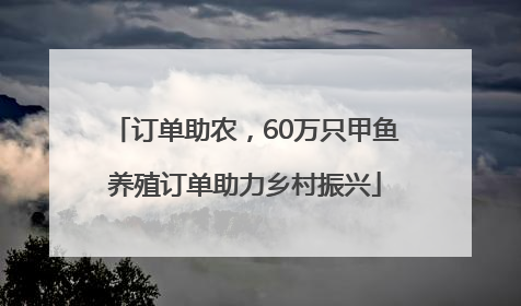订单助农，60万只甲鱼养殖订单助力乡村振兴
