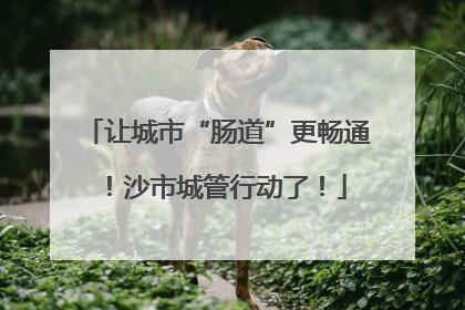 让城市“肠道”更畅通！沙市城管行动了！