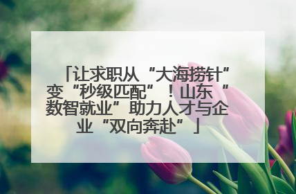 让求职从“大海捞针”变“秒级匹配”！山东“数智就业”助力人才与企业“双向奔赴”