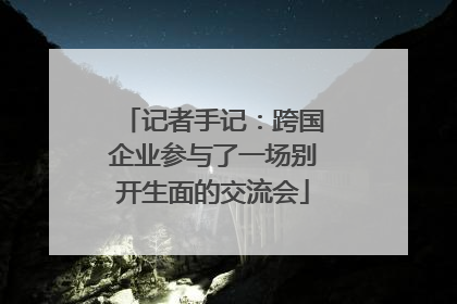 记者手记：跨国企业参与了一场别开生面的交流会