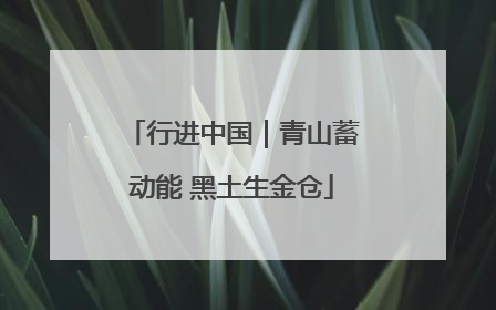 行进中国｜青山蓄动能 黑土生金仓