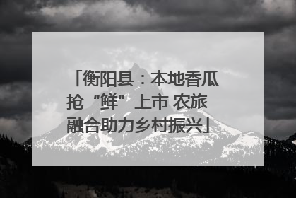 衡阳县：本地香瓜抢“鲜”上市 农旅融合助力乡村振兴