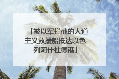 被以军拦截的人道主义救援船抵达以色列阿什杜德港