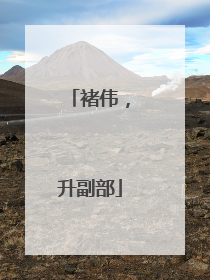 褚伟，升副部