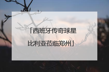 西班牙传奇球星 比利亚莅临郑州