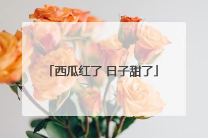 西瓜红了 日子甜了