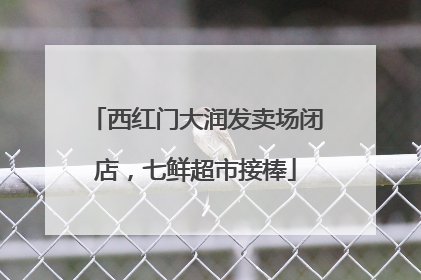 西红门大润发卖场闭店，七鲜超市接棒