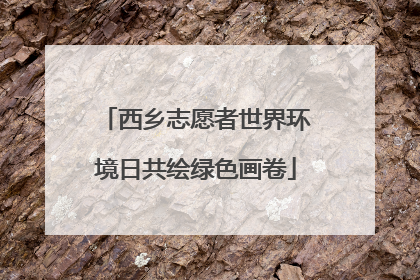 西乡志愿者世界环境日共绘绿色画卷