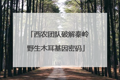 西农团队破解秦岭野生木耳基因密码