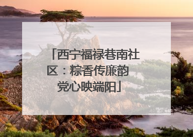 西宁福禄巷南社区：粽香传廉韵 党心映端阳