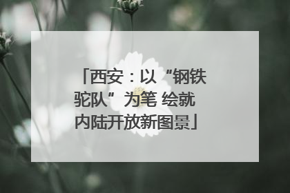 西安：以“钢铁驼队”为笔 绘就内陆开放新图景