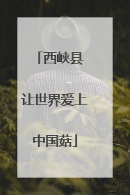 西峡县 让世界爱上中国菇