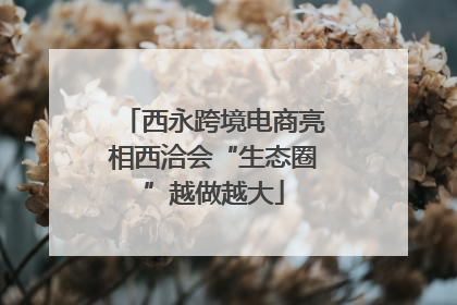 西永跨境电商亮相西洽会“生态圈”越做越大