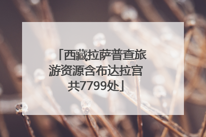 西藏拉萨普查旅游资源含布达拉宫共7799处