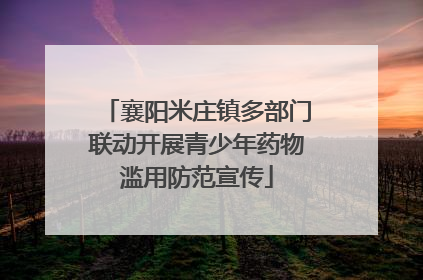 襄阳米庄镇多部门联动开展青少年药物滥用防范宣传