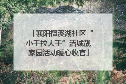 襄阳檀溪湖社区“小手拉大手”洁城靓家园活动暖心收官