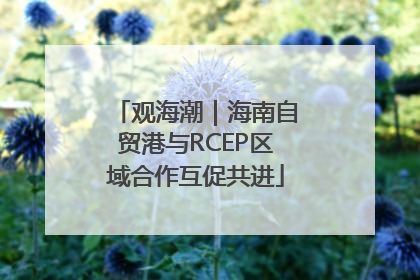 观海潮｜海南自贸港与RCEP区域合作互促共进