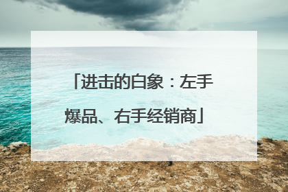 进击的白象：左手爆品、右手经销商