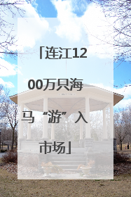 连江1200万只海马“游”入市场