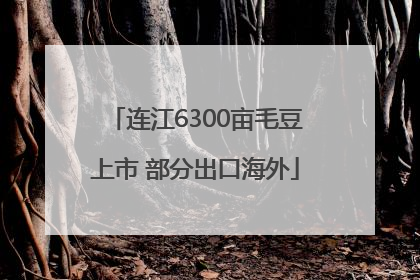 连江6300亩毛豆上市 部分出口海外