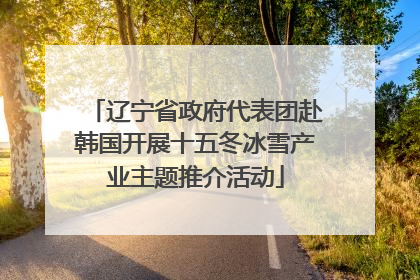 辽宁省政府代表团赴韩国开展十五冬冰雪产业主题推介活动
