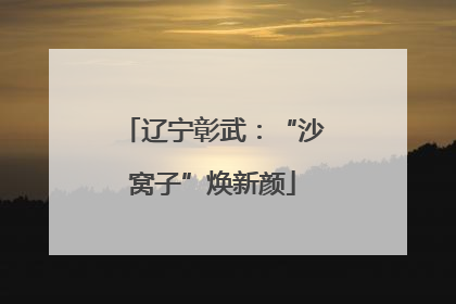 辽宁彰武：“沙窝子”焕新颜