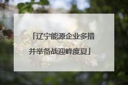 辽宁能源企业多措并举备战迎峰度夏