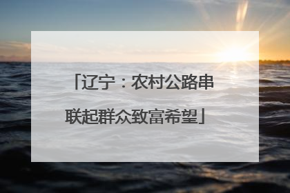 辽宁：农村公路串联起群众致富希望