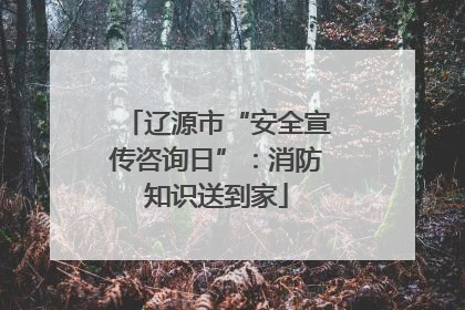 辽源市“安全宣传咨询日”：消防知识送到家