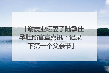 谢震业晒妻子陆敏佳孕肚照官宣喜讯：记录下第一个父亲节