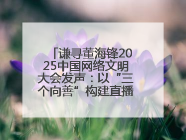 谦寻董海锋2025中国网络文明大会发声：以“三个向善”构建直播电商善意长河