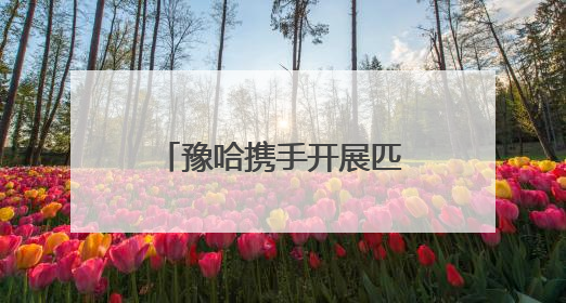 豫哈携手开展匹克球培训，鹤壁助力教育文化援疆
