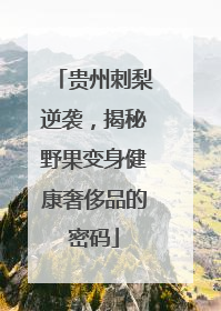 贵州刺梨逆袭，揭秘野果变身健康奢侈品的密码