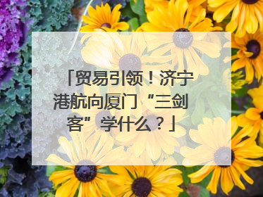 贸易引领！济宁港航向厦门“三剑客”学什么？