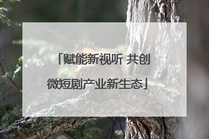 赋能新视听 共创微短剧产业新生态