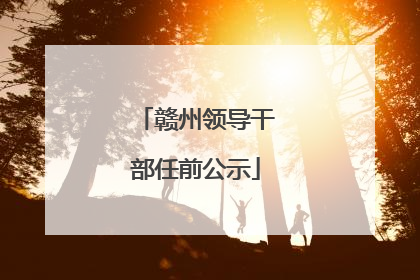 赣州领导干部任前公示