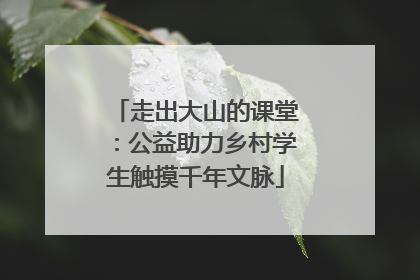 走出大山的课堂：公益助力乡村学生触摸千年文脉