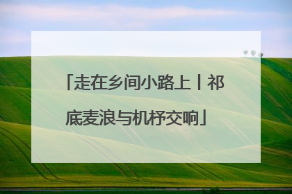 走在乡间小路上丨祁底麦浪与机杼交响