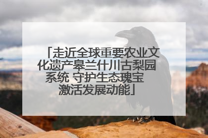 走近全球重要农业文化遗产皋兰什川古梨园系统 守护生态瑰宝 激活发展动能