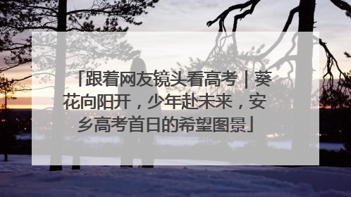 跟着网友镜头看高考｜葵花向阳开，少年赴未来，安乡高考首日的希望图景
