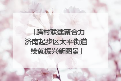 跨村联建聚合力 济南起步区太平街道绘就振兴新图景
