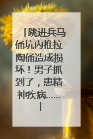 跳进兵马俑坑内推拉陶俑造成损坏！男子抓到了，患精神疾病……